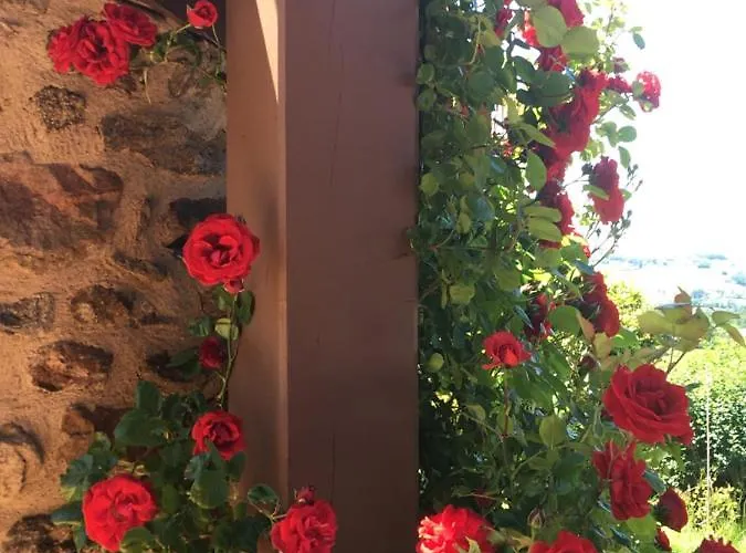 Pierre De Lune Oda ve Kahvaltı 3*