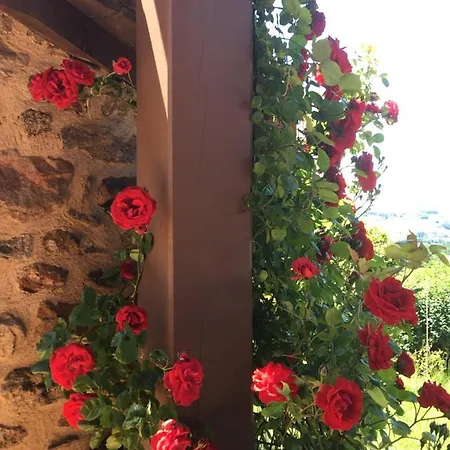 Pierre De Lune Bed & Breakfast 3*